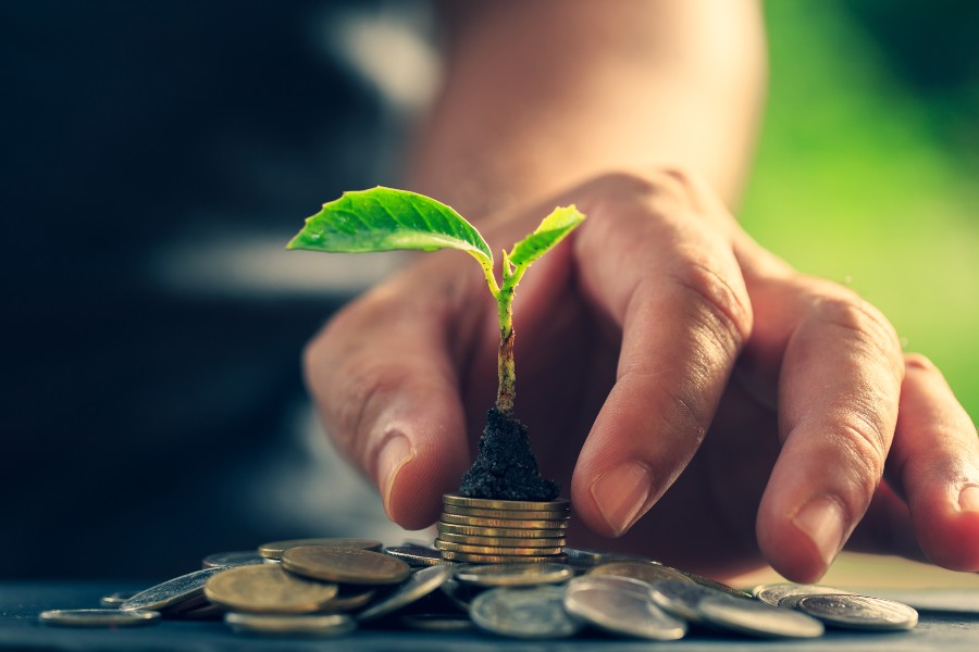 mãos de uma pessoa juntando moedas sob uma planta para representar o empreendedorismo sustentável